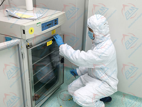 化学草莓视频网站黄图片